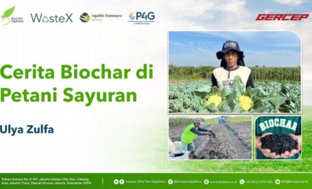 The Story of Biochar in Vegetable Farming (in Bahasa)