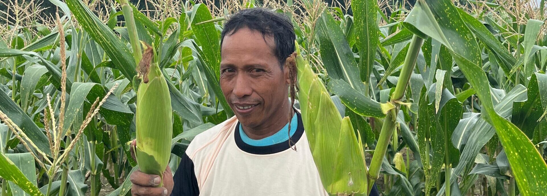 Menggerakkan Petani melalui Inovasi Berkelanjutan di Desa Tunggak