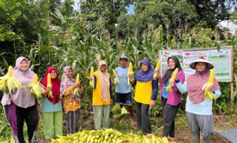 Empowering Women, Strengthening Family Economic Resilience
