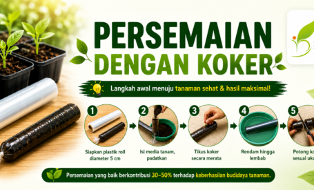 Seedling Nursery (Plastic Roll Method)