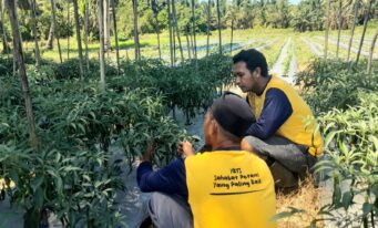 Transforming Livelihoods Through YBTS Demonstration Plots