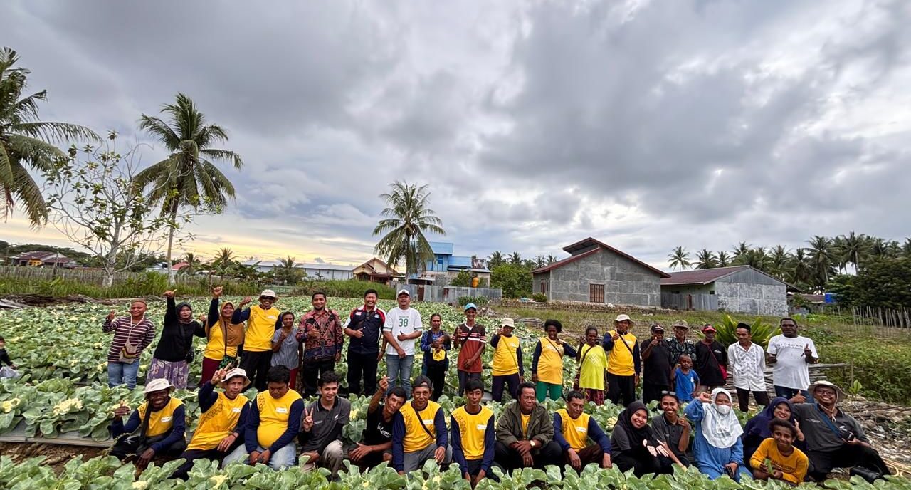 Learning from the Field Through a Cauliflower Farmers Field Day