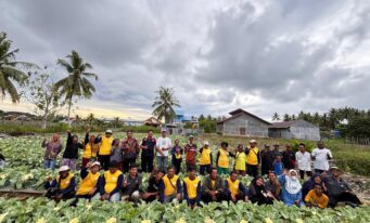 Learning from the Field Through a Cauliflower Farmers Field Day