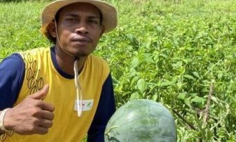 Antonius Renyaan Proves That GAP Improves Watermelon Production