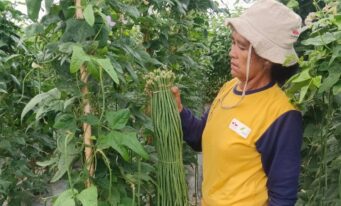 Menumbuhkan Harapan dari Sebidang Lahan di Aceh Tenggara