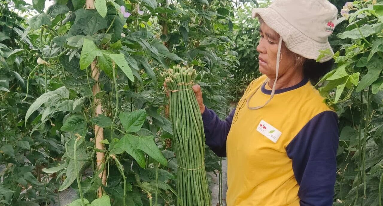 Growing Hope from a Small Plot of Land in Southeast Aceh