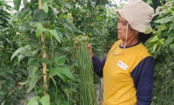 Growing Hope from a Small Plot of Land in Southeast Aceh
