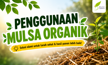 Penggunaan Mulsa Organik
